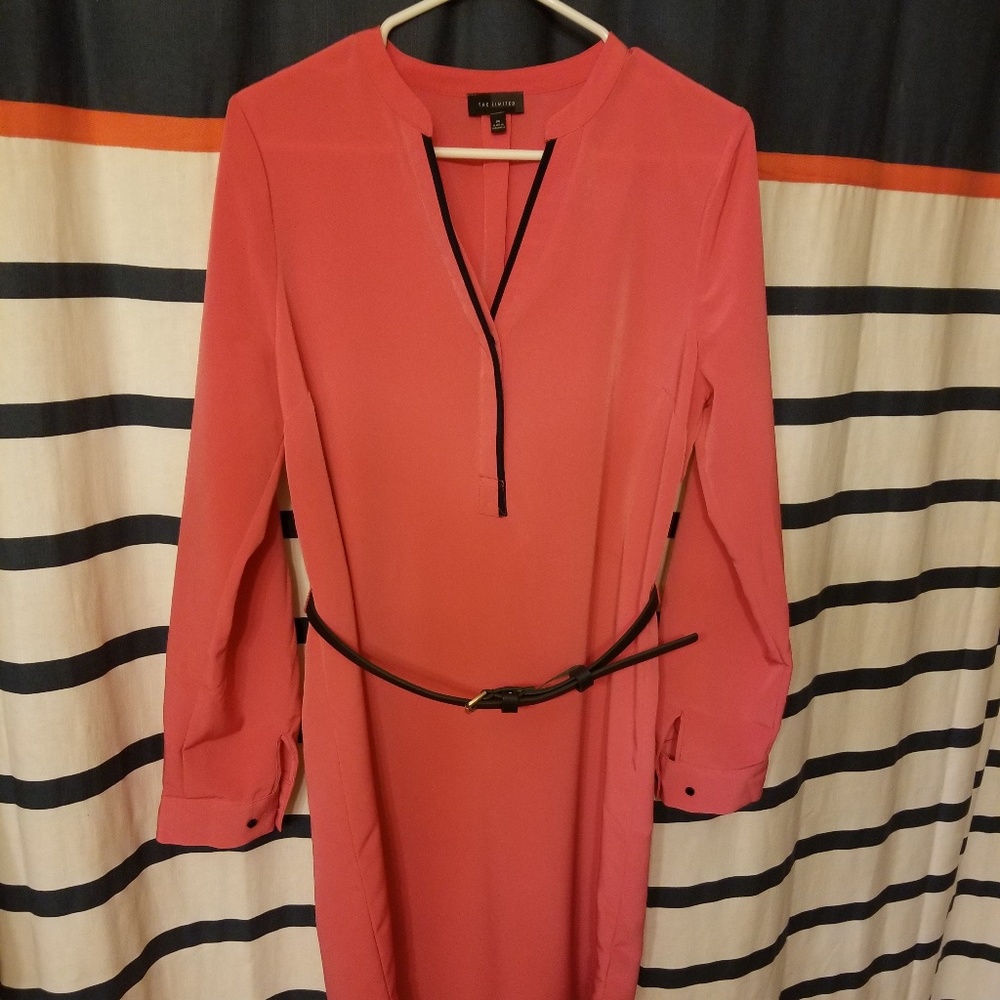 The Limited Shirt Dress